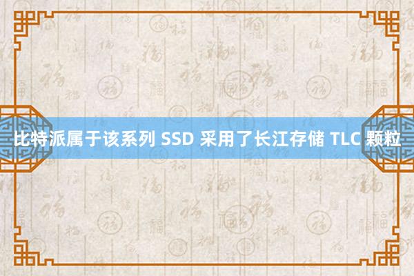 比特派属于该系列 SSD 采用了长江存储 TLC 颗粒