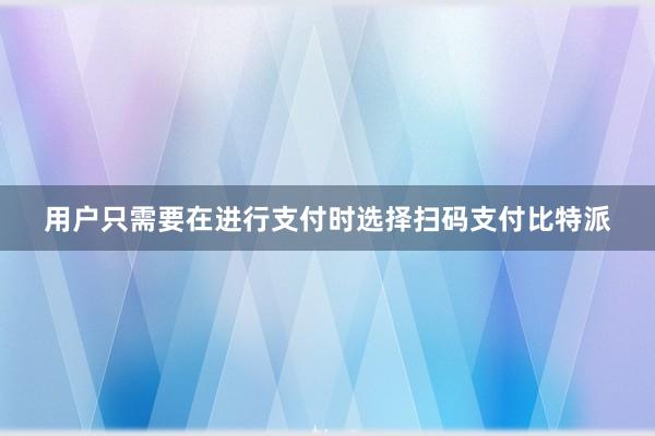 用户只需要在进行支付时选择扫码支付比特派