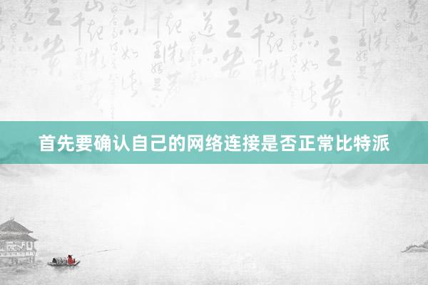 首先要确认自己的网络连接是否正常比特派