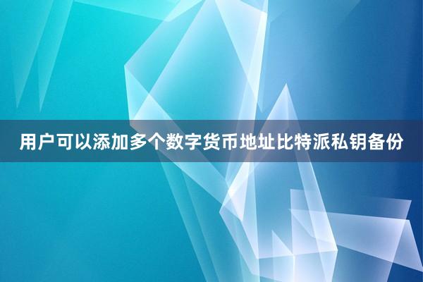 用户可以添加多个数字货币地址比特派私钥备份