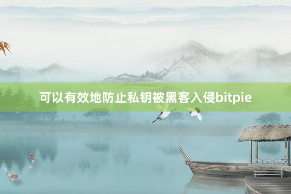 可以有效地防止私钥被黑客入侵bitpie