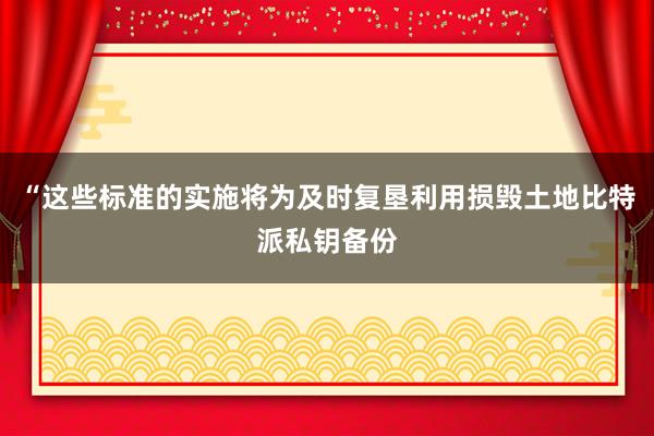 “这些标准的实施将为及时复垦利用损毁土地比特派私钥备份