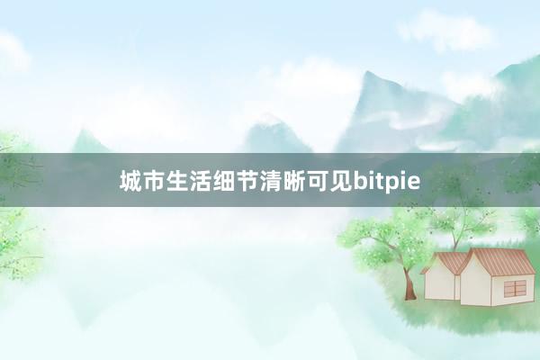 城市生活细节清晰可见bitpie