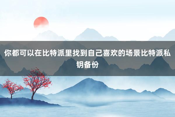 你都可以在比特派里找到自己喜欢的场景比特派私钥备份