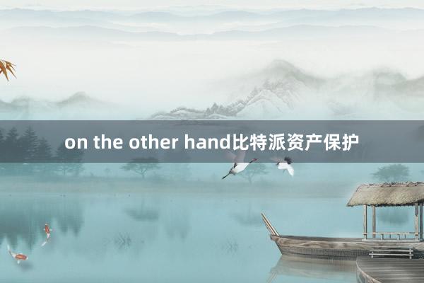 on the other hand比特派资产保护