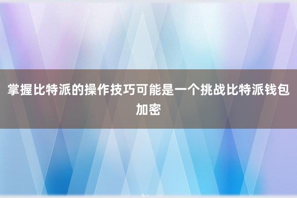 掌握比特派的操作技巧可能是一个挑战比特派钱包加密