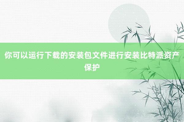 你可以运行下载的安装包文件进行安装比特派资产保护