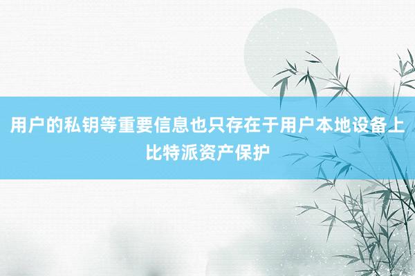 用户的私钥等重要信息也只存在于用户本地设备上比特派资产保护