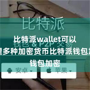 比特派wallet可以管理多种加密货币比特派钱包加密